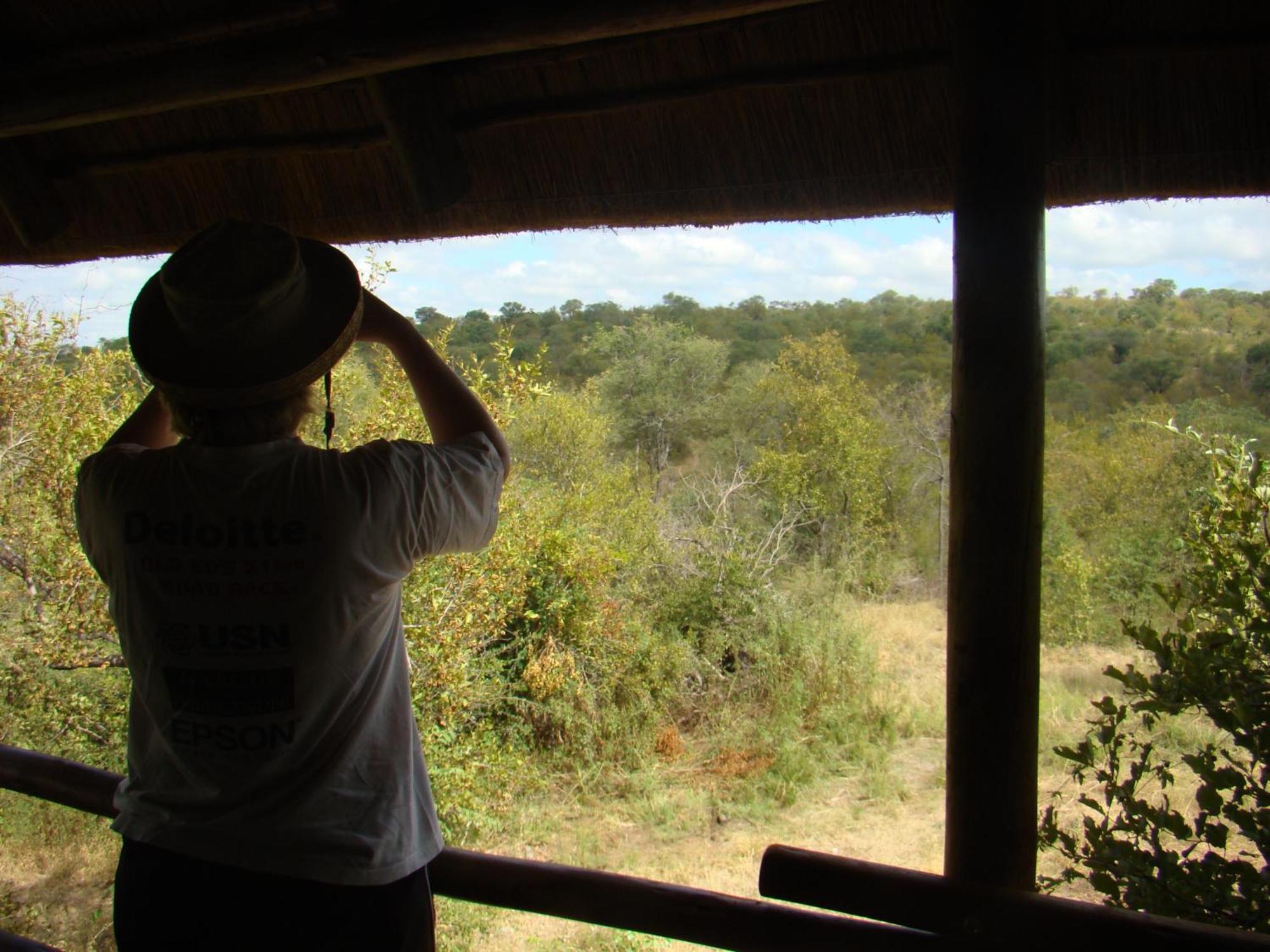 Muweti Bush Lodge Grietjie Game Reserve Quarto foto