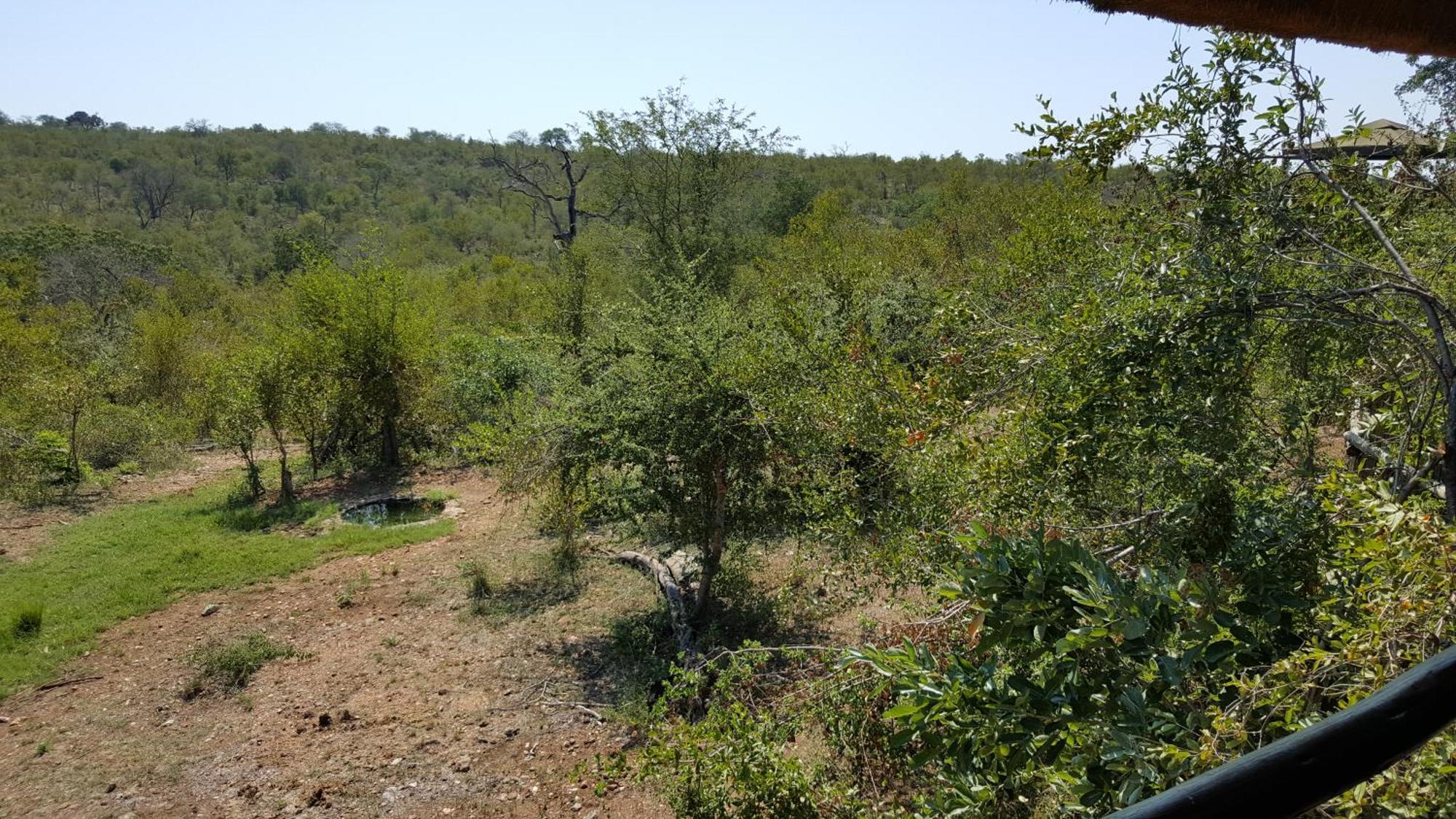 Muweti Bush Lodge Grietjie Game Reserve Quarto foto